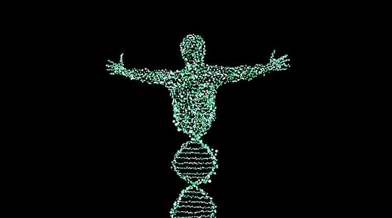 Interested in a DNA vacation? Read this first