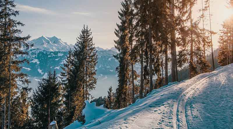After coronavirus closed the ski resort Linda Huber planned to visit, she asked for a refund of her Vail Epic Pass.  How could management refuse?